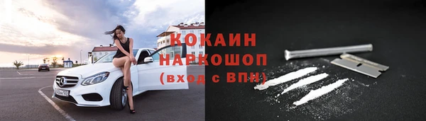 бошки Алексин