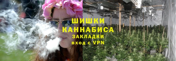 бошки Алексин