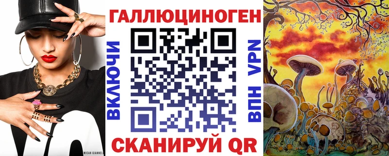 это наркотические препараты  сколько стоит  Тейково  Галлюциногенные грибы Psilocybe 